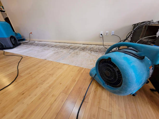 Professional Structural Drying technician working in Cataldo, ID